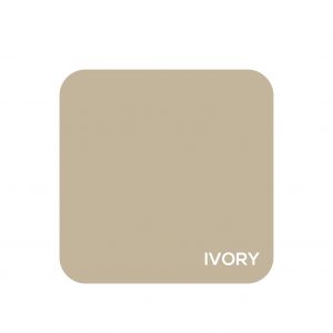 Ivory (PMS COOL GREY 1)